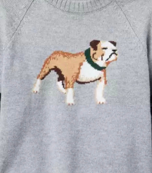 Boy's Dog Intarsia Sweater