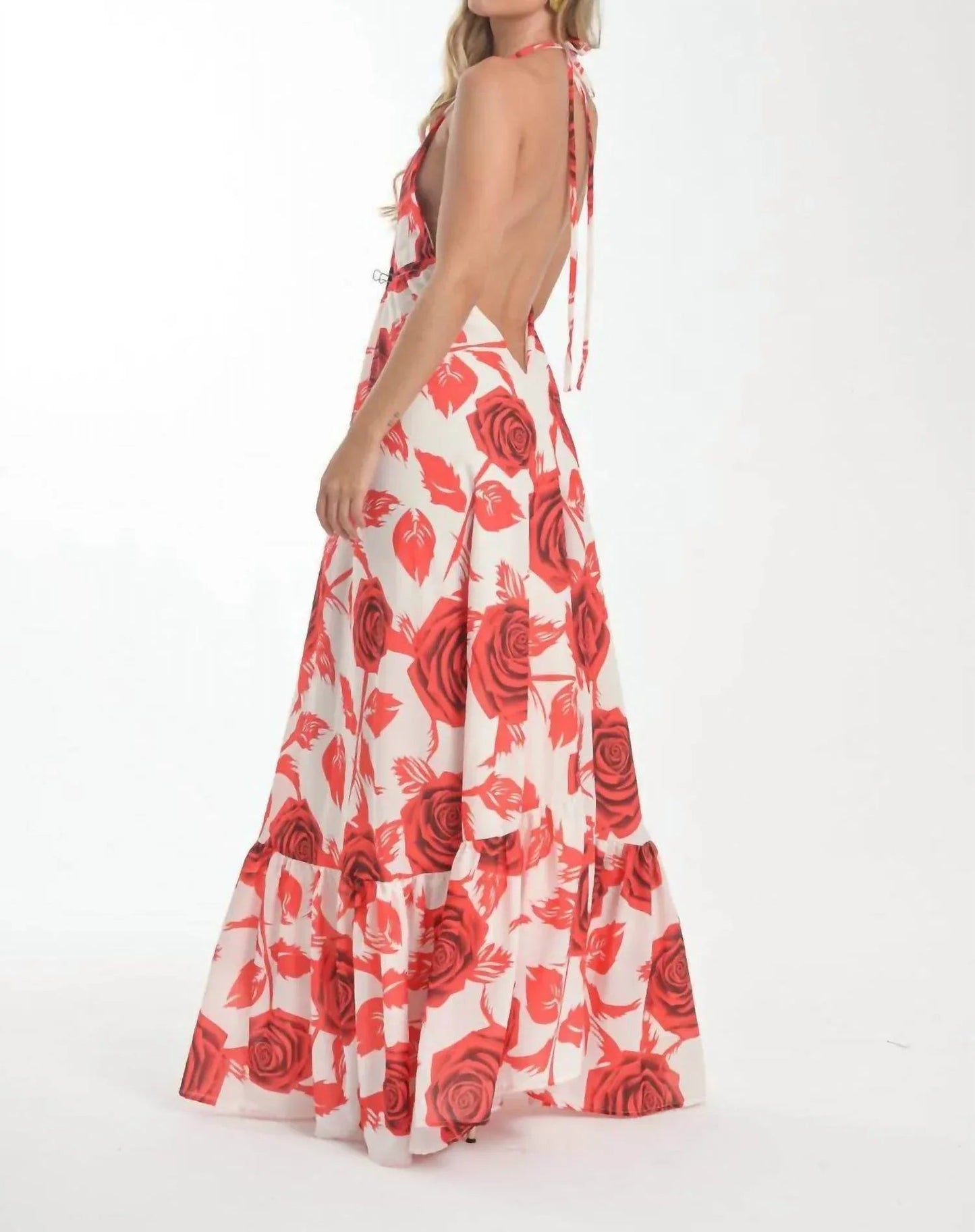 Romantic Rose Print Dress