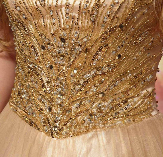 Beaded Bodice Tulle Ball Gown
