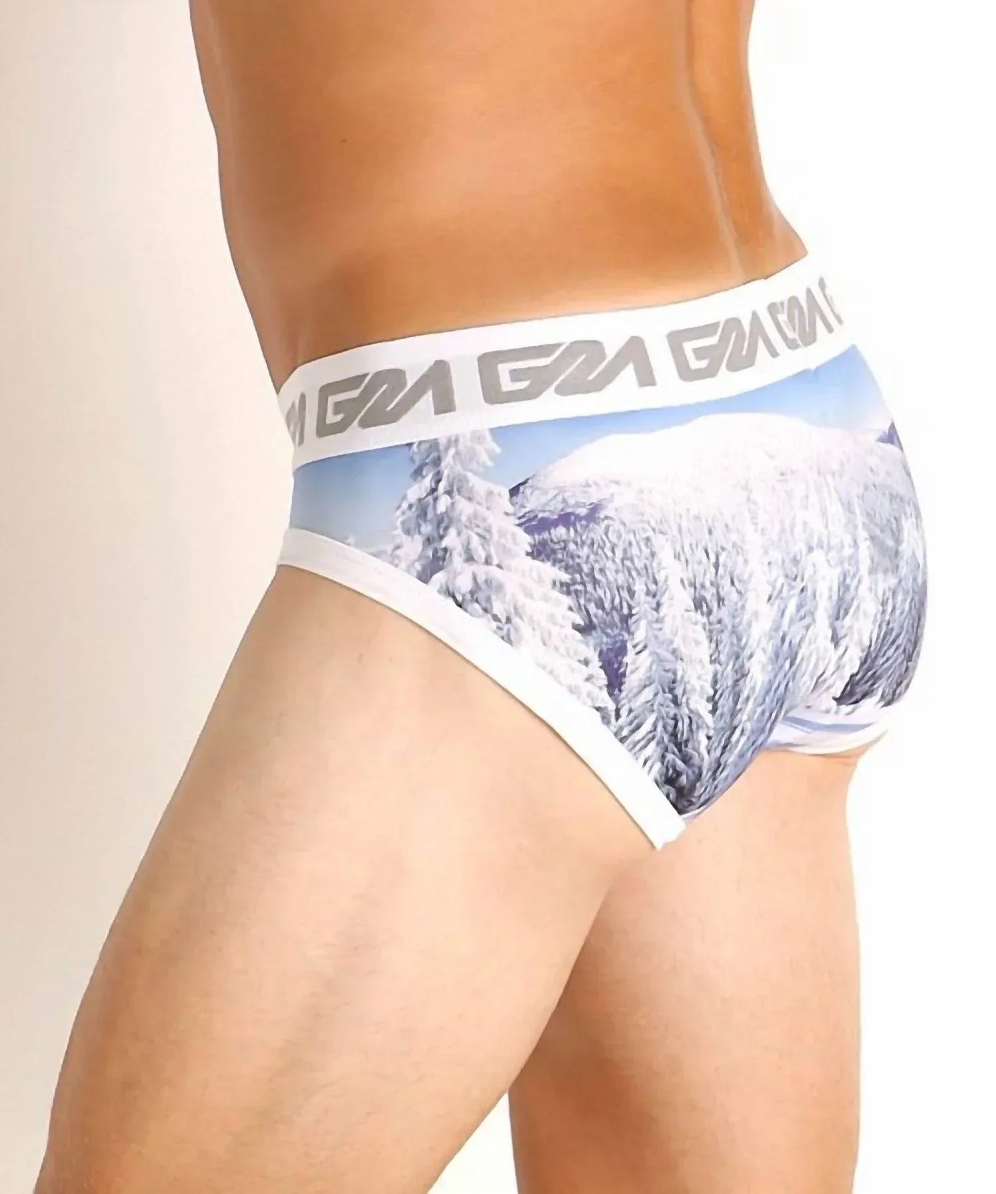 Whistler Brief