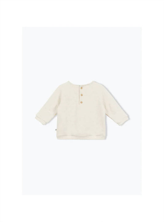 Boy's Tropics Icon Sweatshirt