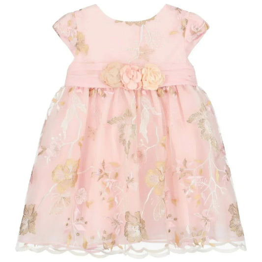 Embroidered Tulle Woven Dress