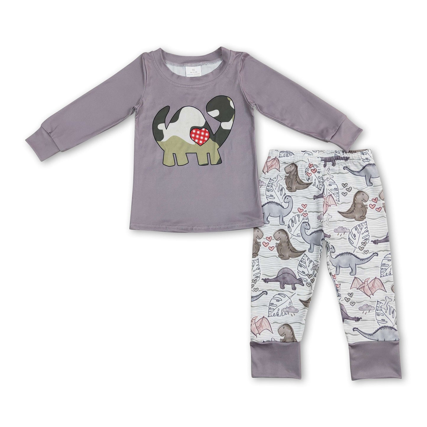 Graues Dinosaurier-Oberteil Hose Kinder Jungen Kleidung