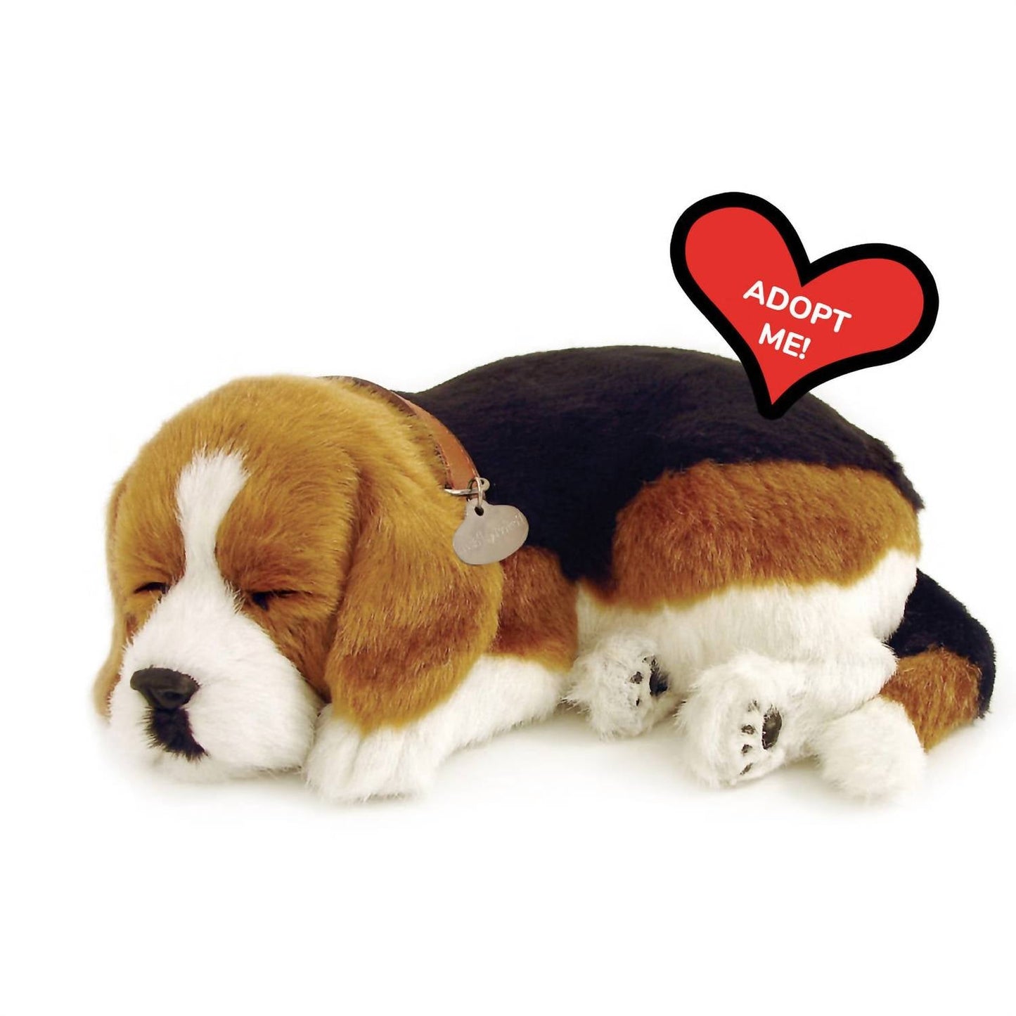 Beagle-Atmung Haustier
