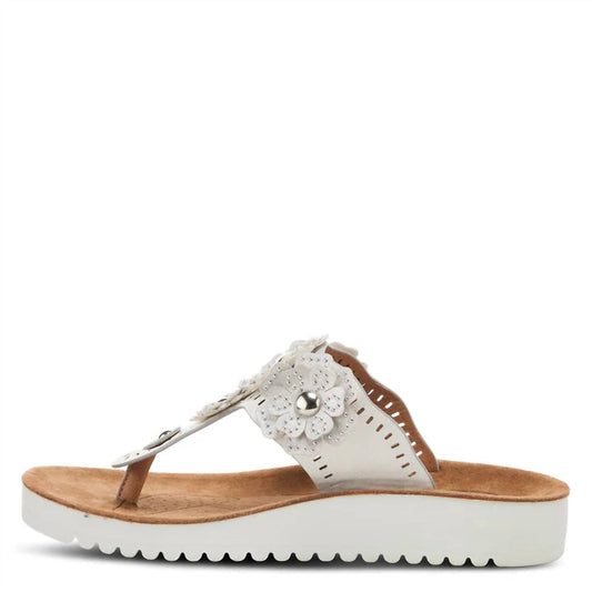 Damen-Zehensteg-Sandalen Bayview