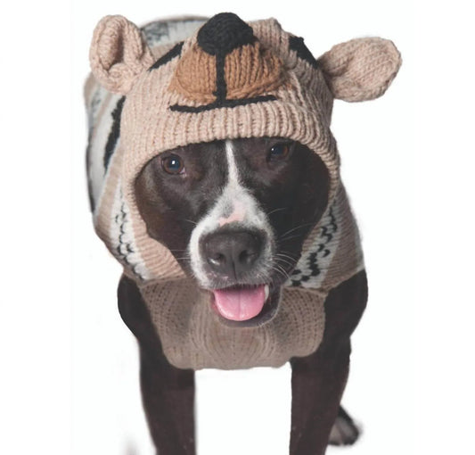 Brown Bear Dog Sweater