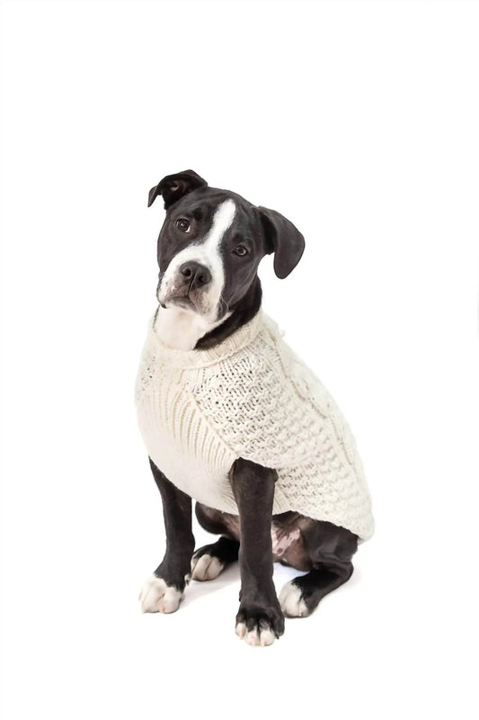Cable Knit Dog Sweater