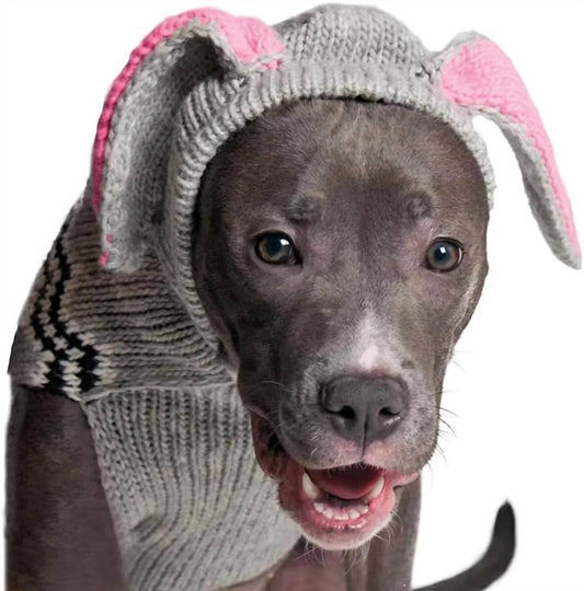 Bunny Dog Sweater