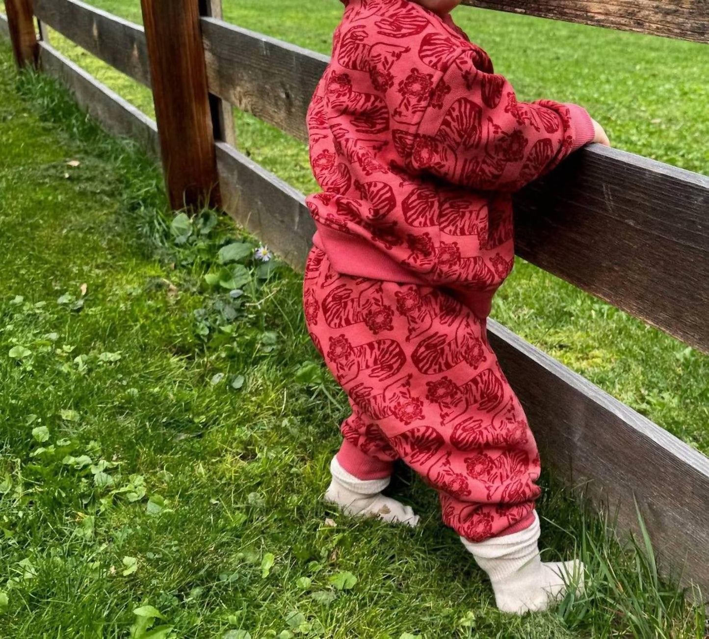 Boy's Print Organic Cotton Sweatshirt