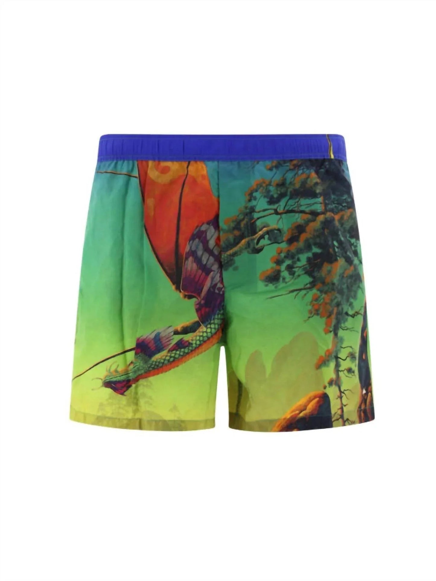 Badeshorts für Herren mit „Dragon At Dawn“-Print
