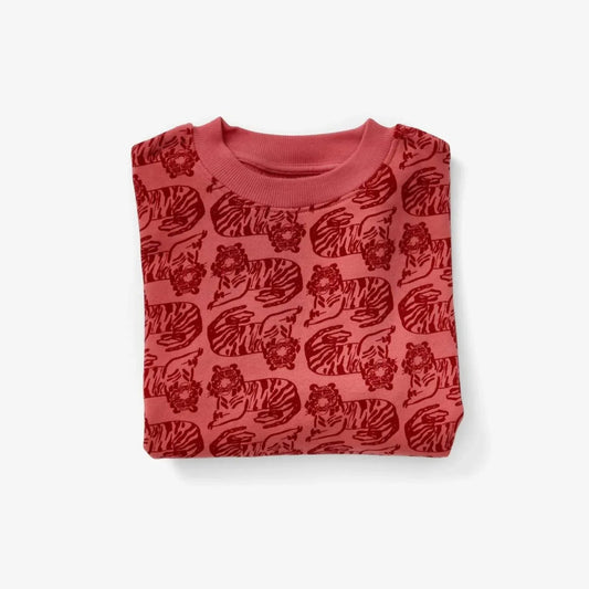 Boy's Print Organic Cotton Sweatshirt