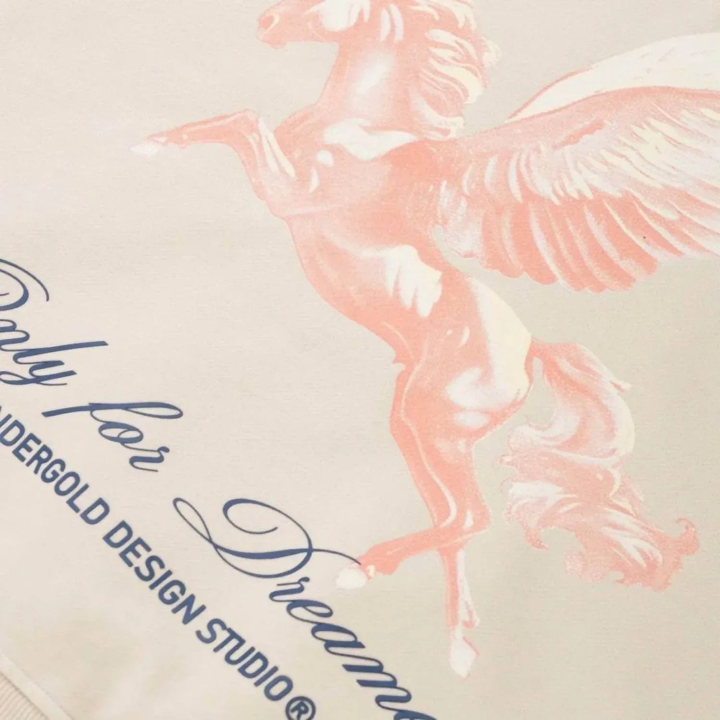 Dreamers Pegasus Boxy Hoodie