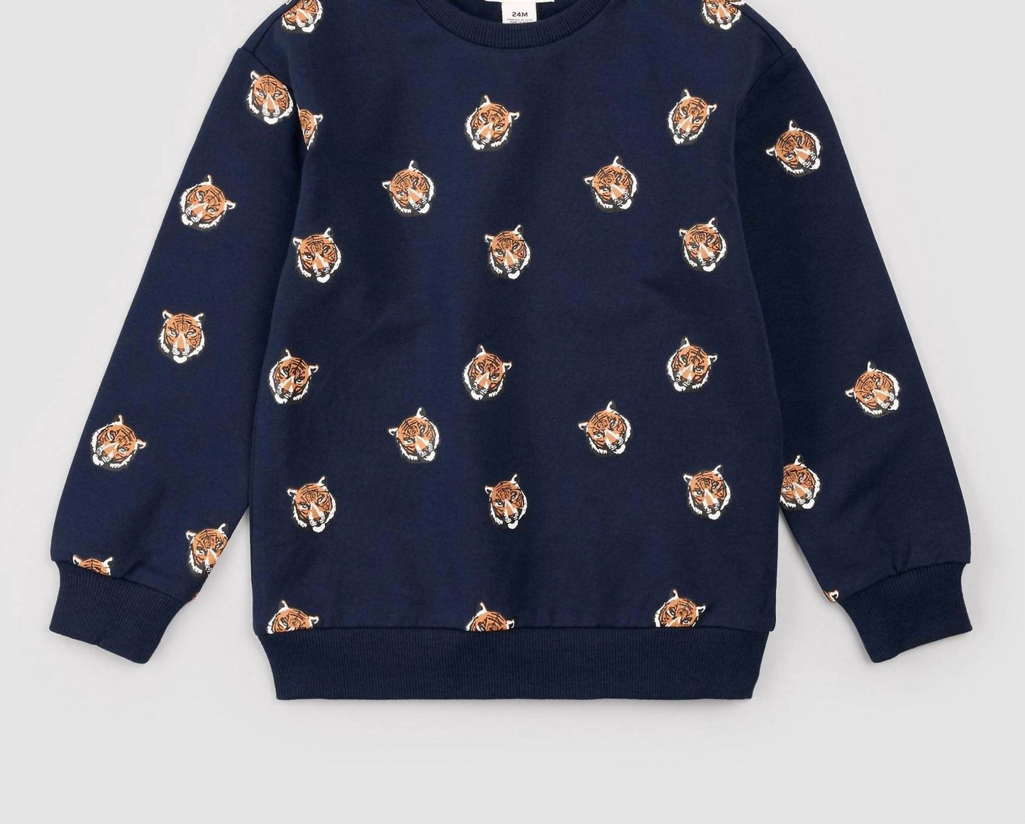 Set aus Langarm-Sweatshirt und Hose für Jungen