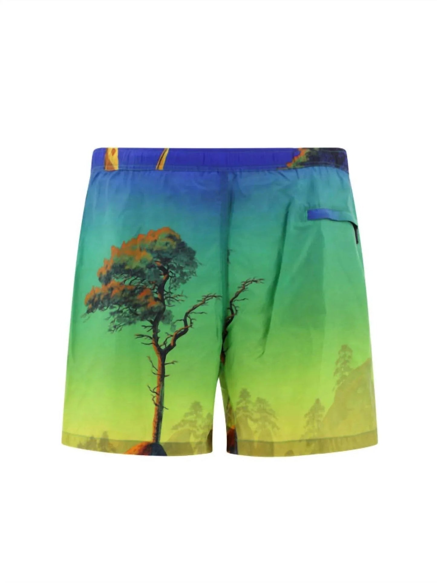 Badeshorts für Herren mit „Dragon At Dawn“-Print