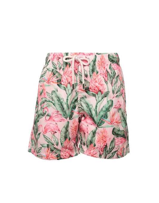 Boy's Printed Swim Shorts