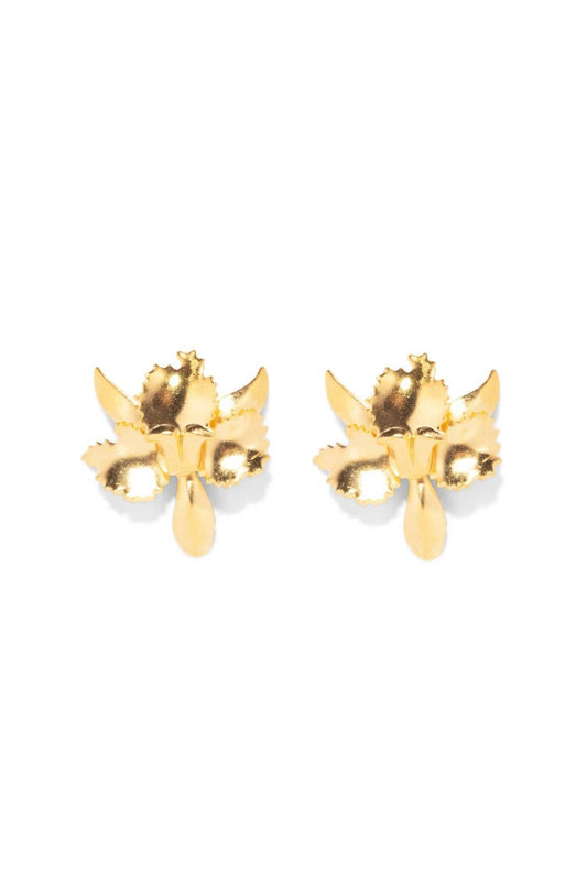 Women's Tiny Golden Orchid Earrings