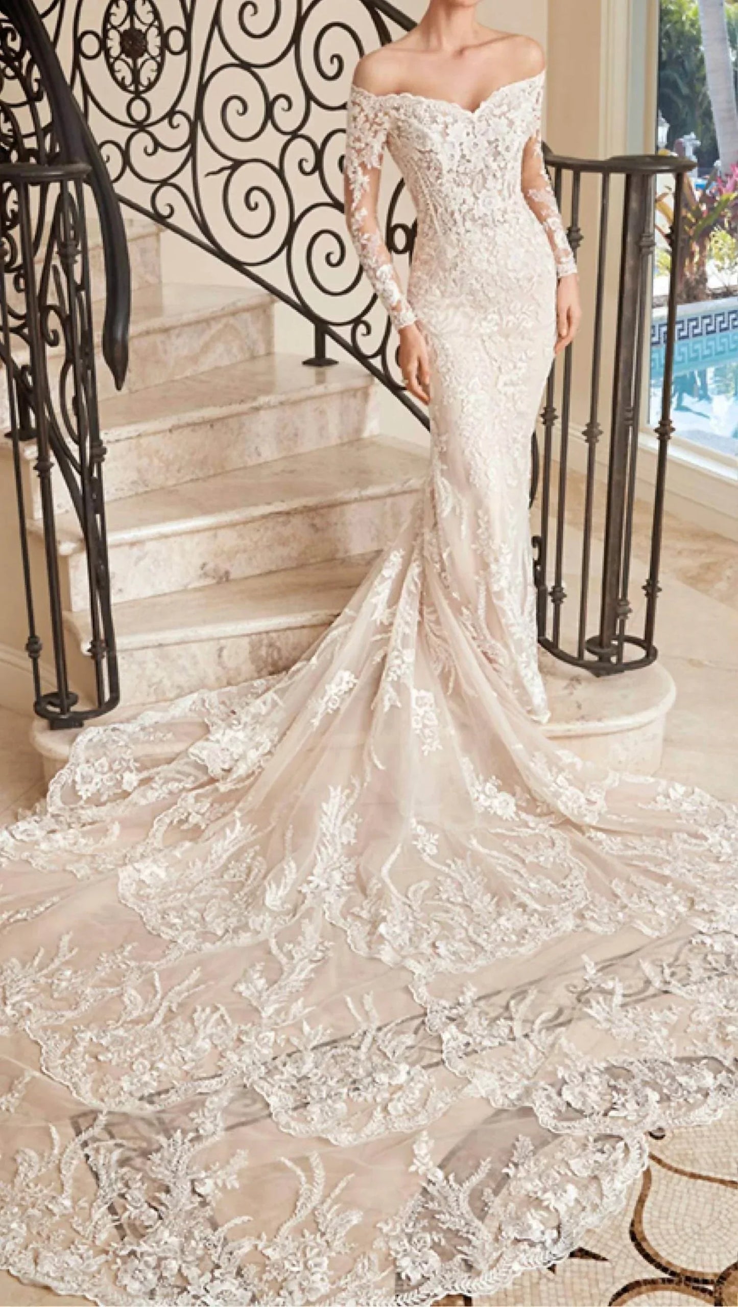 Lace Embellished Sheer Gown