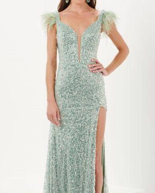 All Over Sequin Feather Trim Gown
