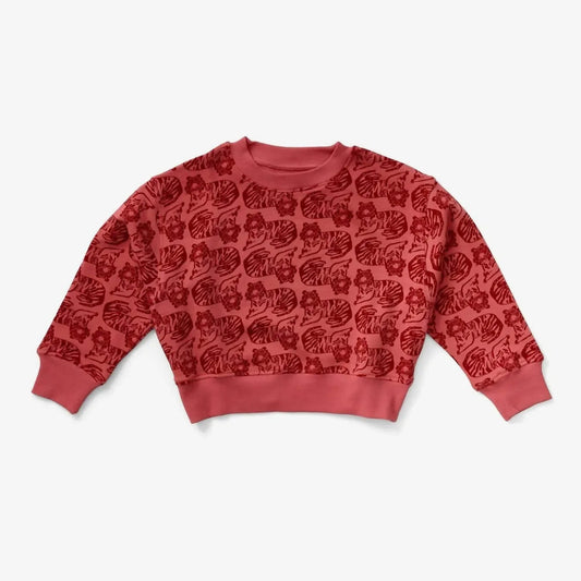 Boy's Print Organic Cotton Sweatshirt