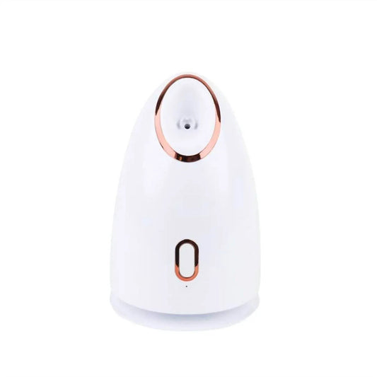 Facial Steamer