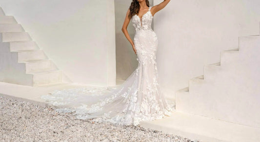 Generosa Sheer Mesh Dress