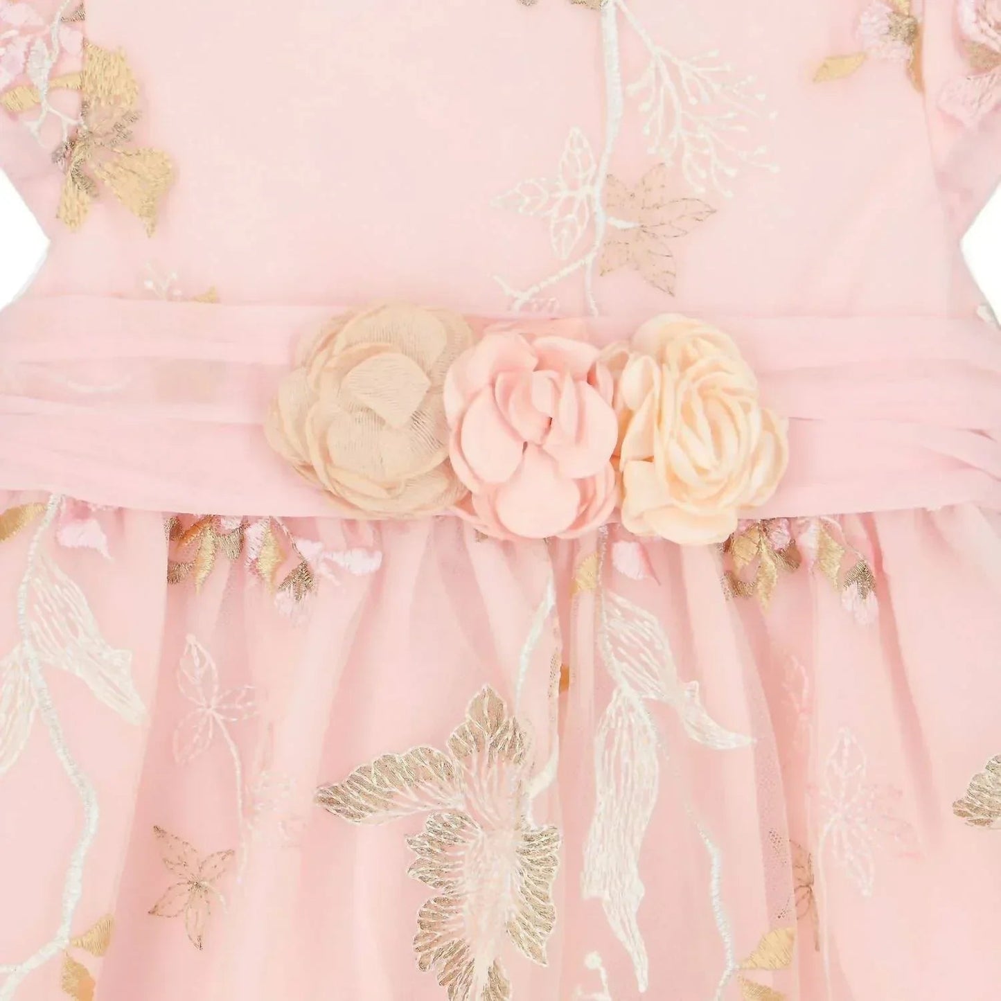 Embroidered Tulle Woven Dress
