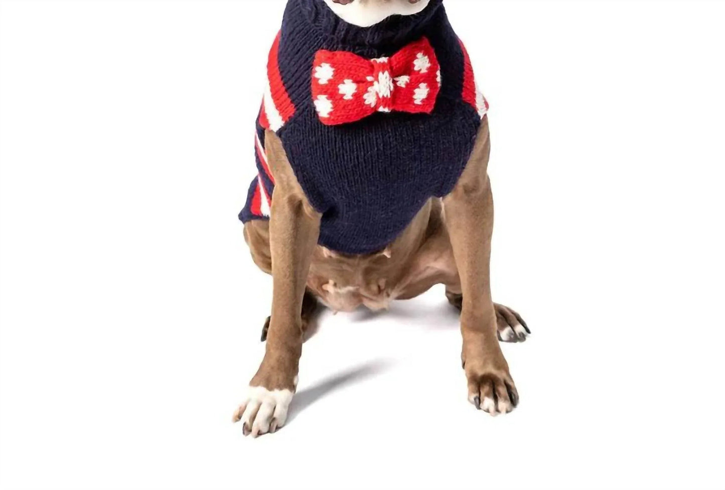 Fliegenhunde-Pullover
