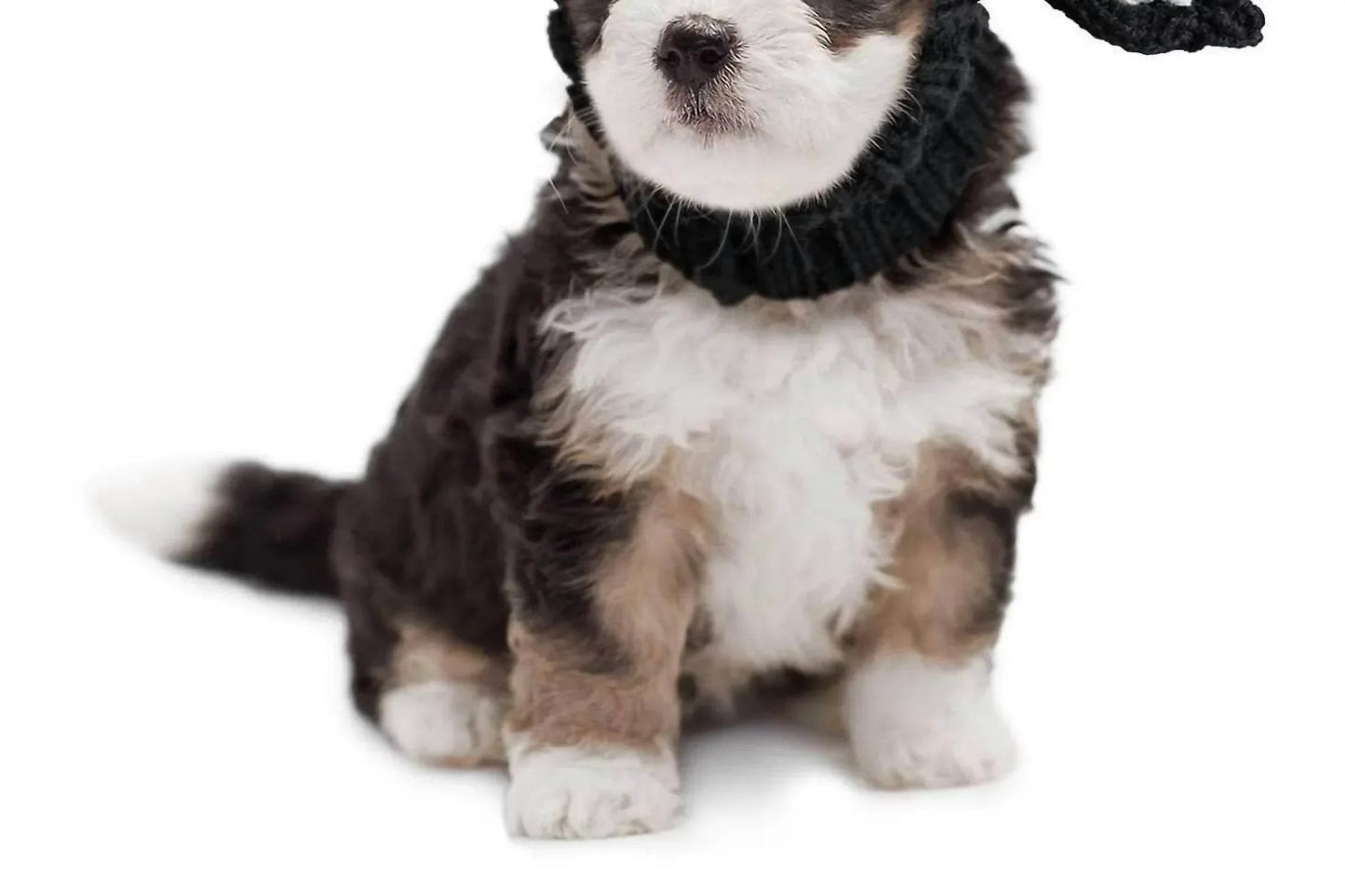 Bull Snood