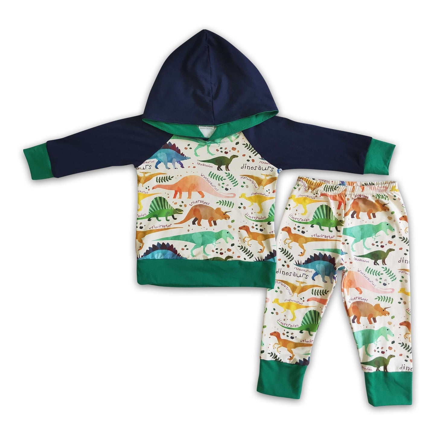 Jungen Dinosaurier Kapuzenpulli-Outfit