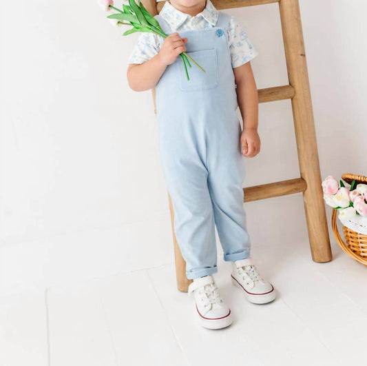 Boys' Bunny Toile Distressed Overall Set
