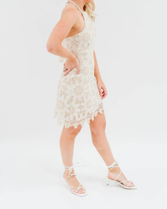 Neckholder-Minikleid aus Spitze