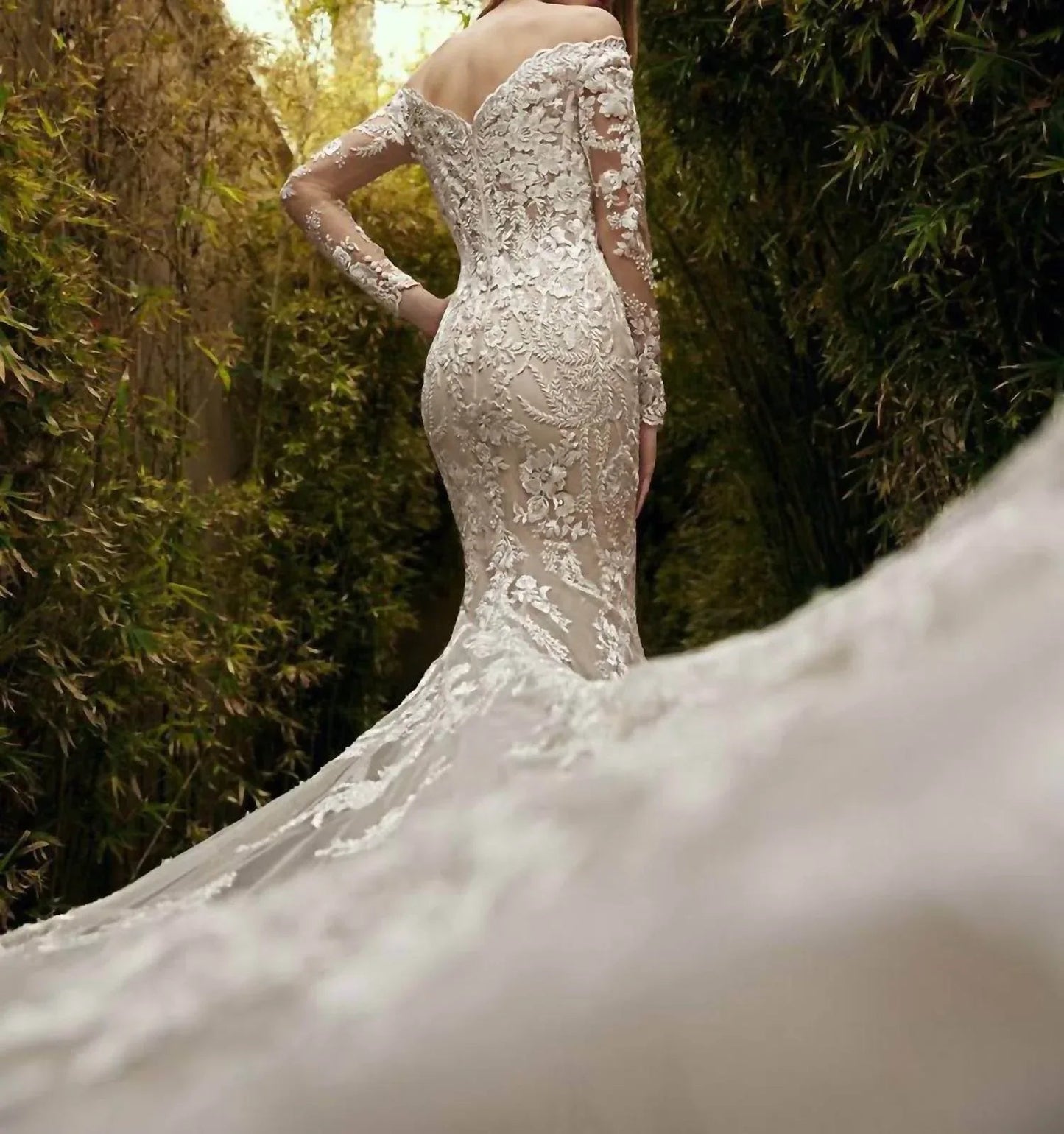 Lace Embellished Sheer Gown