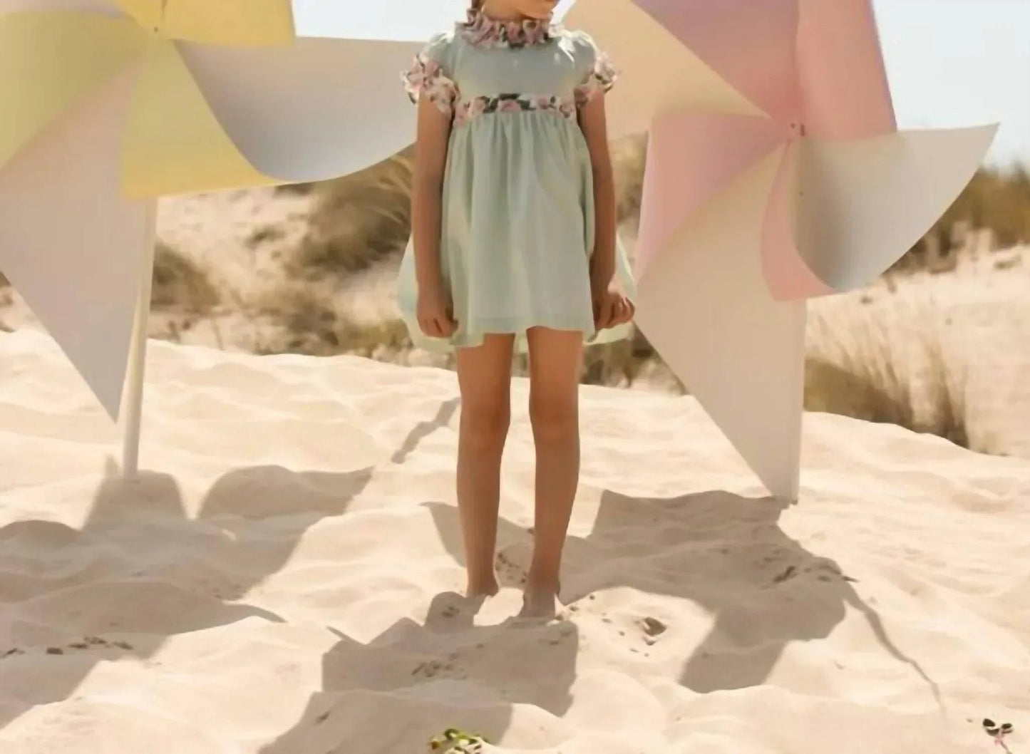 Voile With Frills Woven Dress