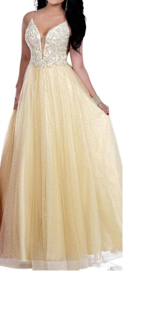 Beautifully Glittered Tulle Gown