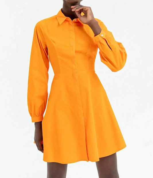 Chemisier Denim Mini Dress