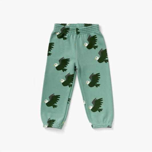 Boy's Eagle Sweatpants