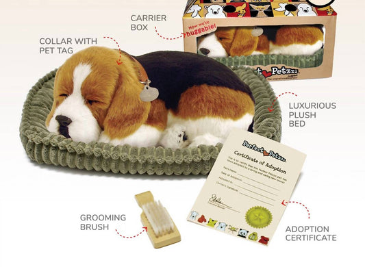 Beagle Breathing Pet