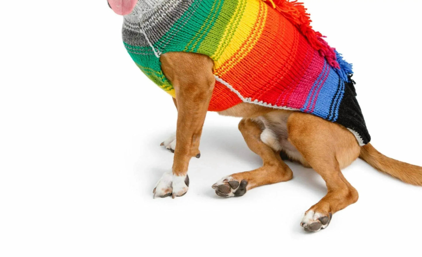Regenbogen-Irokesen-Hundepullover