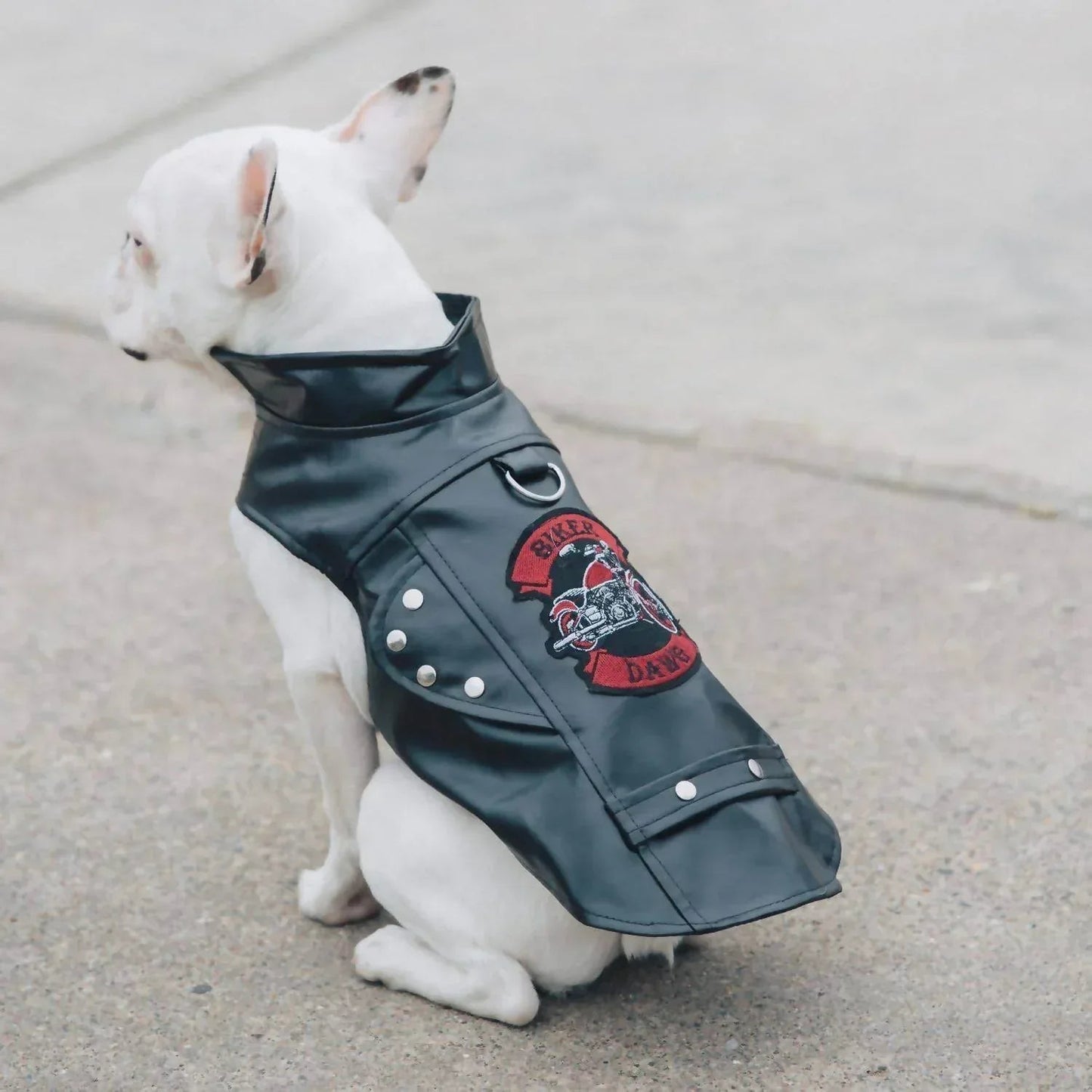Motorradjacke „Biker Dawg“