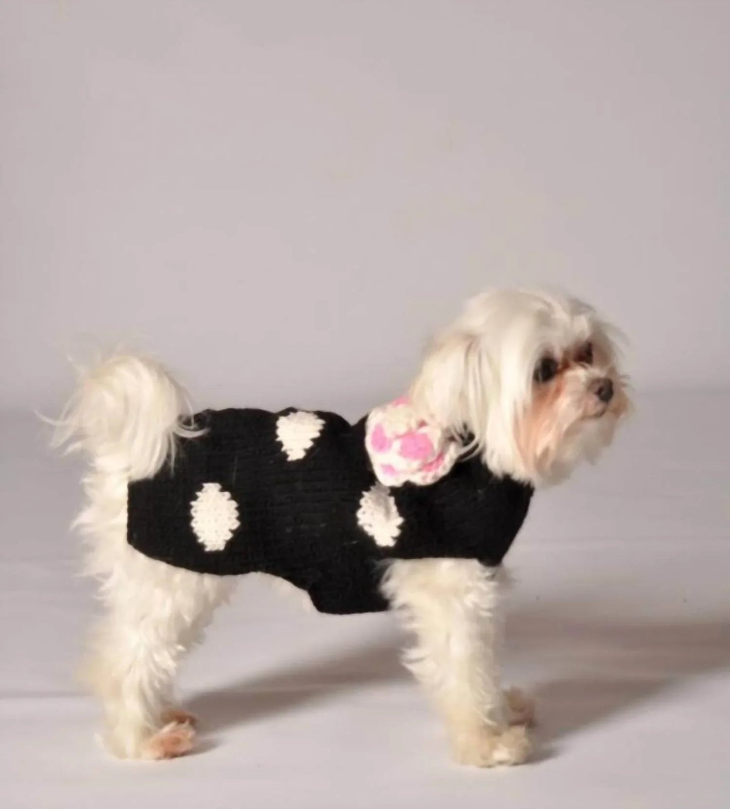 Polka Dot Dog Sweater