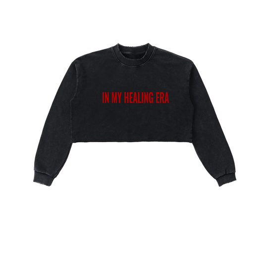 Snow Washed Raw Edge Cropped Sweatshirt