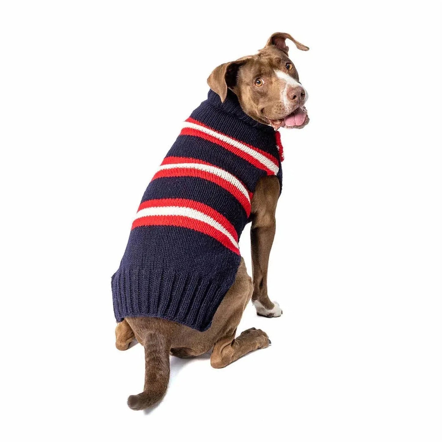 Fliegenhunde-Pullover