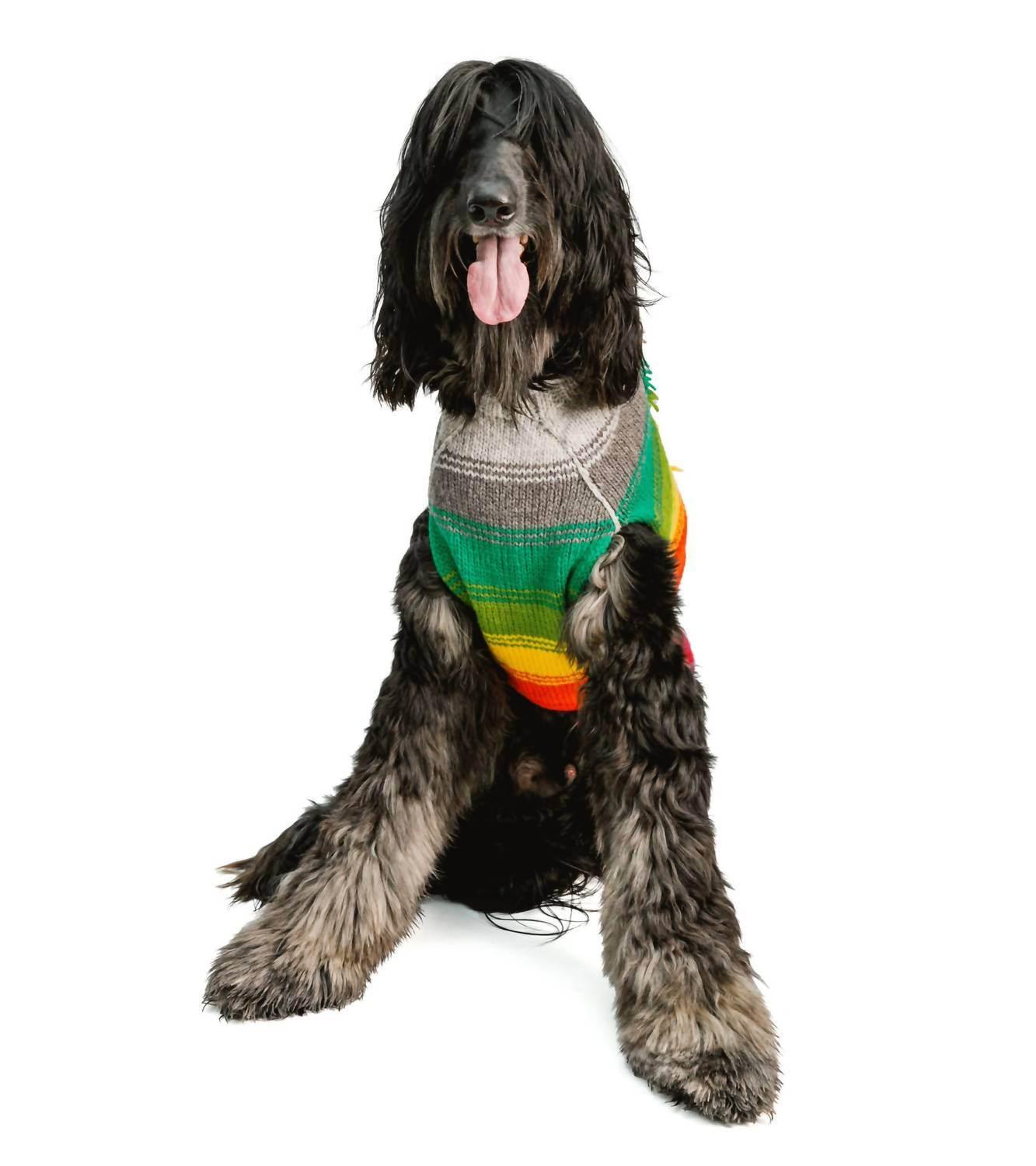 Regenbogen-Irokesen-Hundepullover