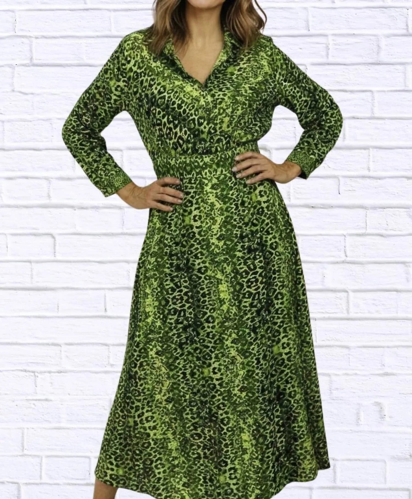 Leopard Wrap Dress