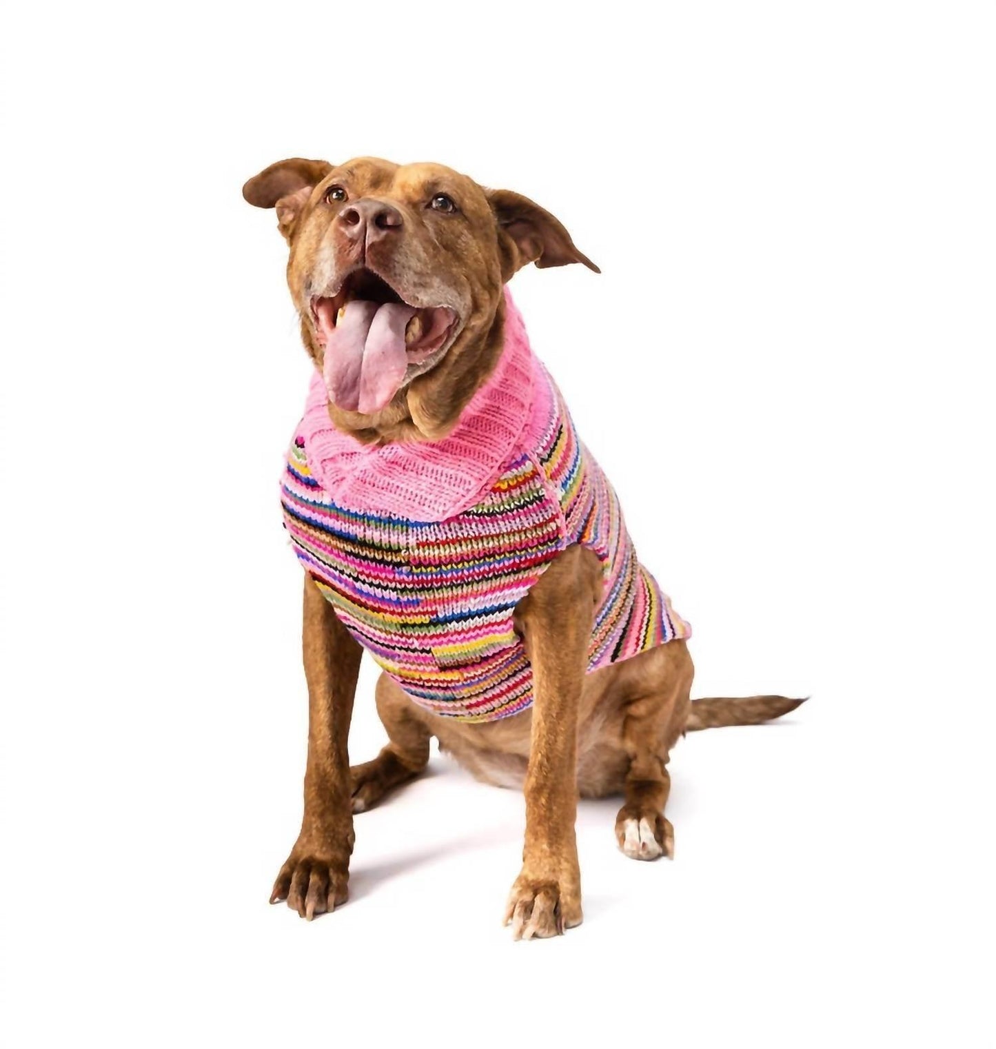 Multi Colored Dog Sweater
