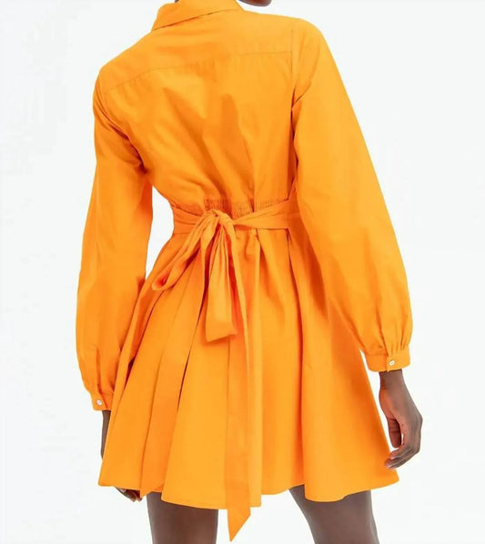 Chemisier Denim Mini Dress