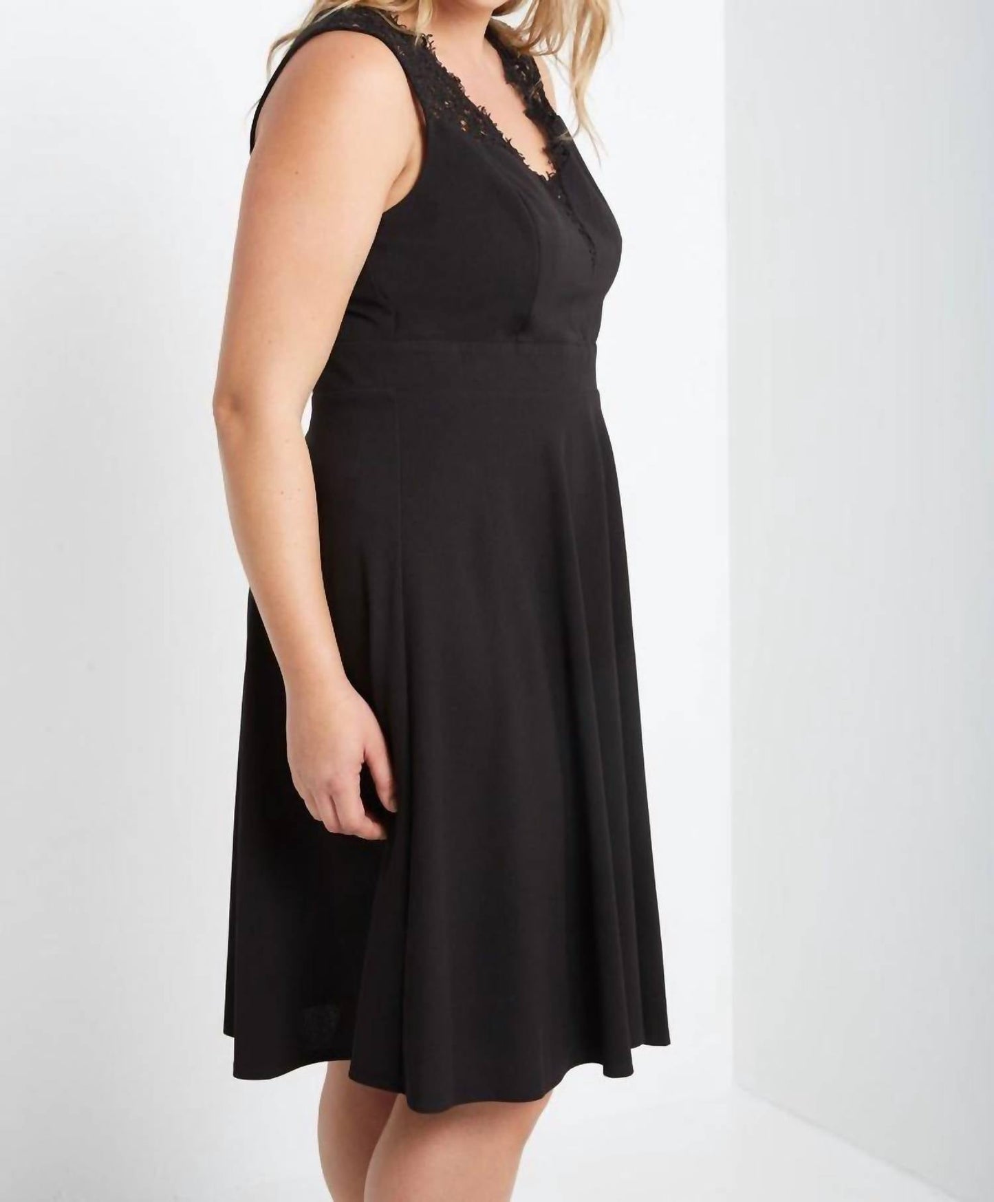 Lace Up Sleeveless V-neck Fit And Flare Dress - Plus