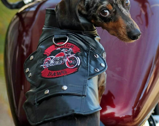 Biker Dawg Motorcycle Jacket