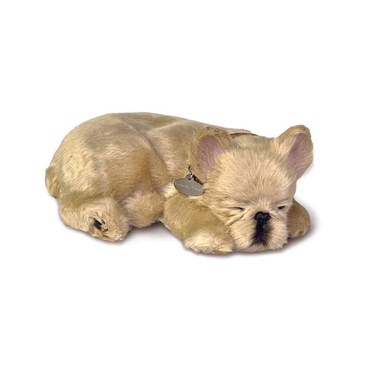 French Bulldog Breathing Pet