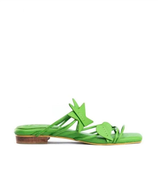 Women's Ficus Flat
